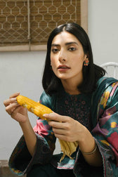 img_zara_shahjahan_coco_winter_21_awwal_boutique