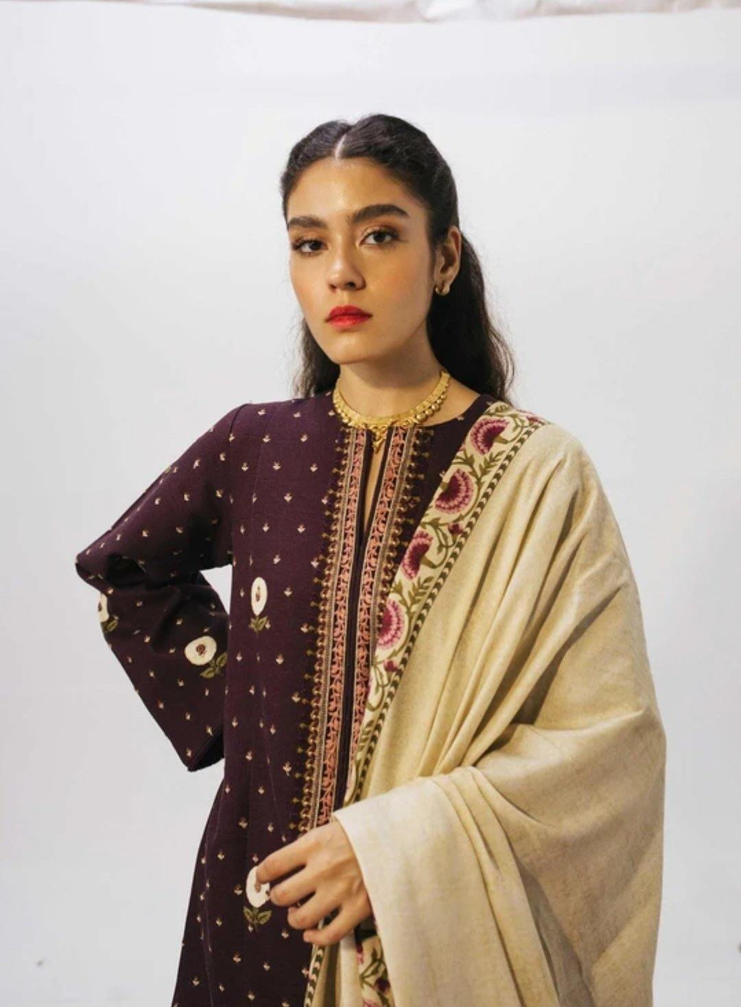 img_coco_winter_by_zara_shahjahan_awwal_boutique