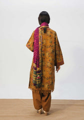 img_coco_winter_by_zara_shahjahan_awwal_boutique
