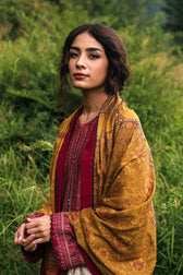 Img_coco_by_zara_shahjahan_winter_22_awwal_boutique