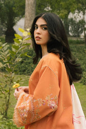 img_coco_lawn_2022_by_zara_shahjahan_awwal_boutique