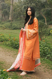 Restocked/Coco Lawn 2022/Z22-2 A