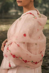 img_coco_by_zara_shahjahan_awwal_boutique
