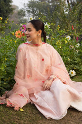 img_coco_by_zara_shahjahan_awwal_boutique