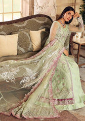 img_elaf_celebration_chiffon_awwal_boutique