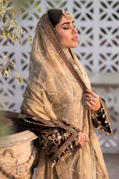 img_emaan_adeel_velvet_awwal_boutique