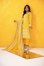 img_erum_misha_lawn_22_awwal_boutique