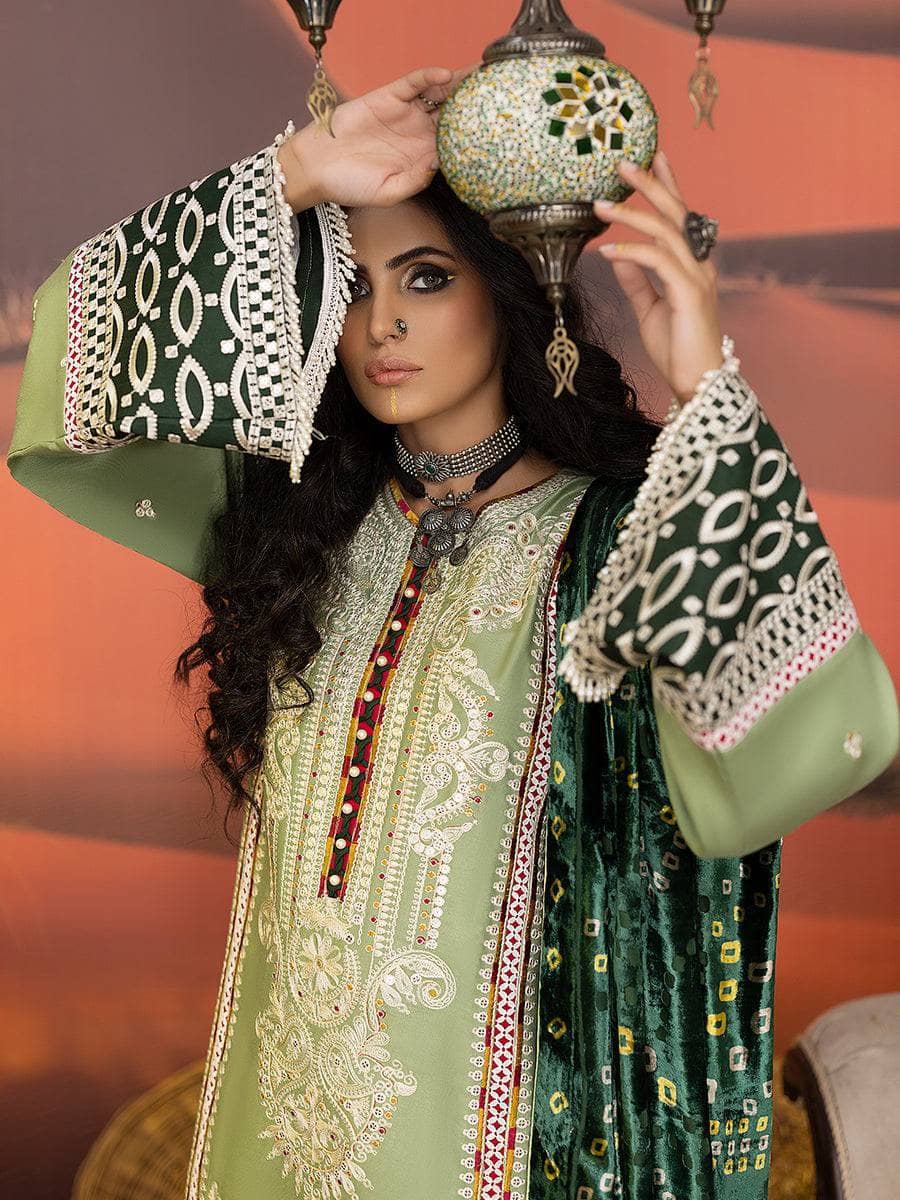img_esha_eshal_by_bin_ilyas_palachi_shawl_awwal_boutique