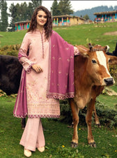 img_image_winter_collection_awwal_boutique