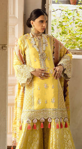 img_anaya_by_kiran_chaudhary_kamiar_rokni_awwal_boutique