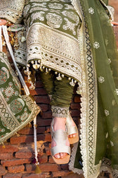 Mohsin Naveed Ranjha Chiffon Pakistani Suit Mohsin Naveed Ranjha/Nau Bahar/Champa