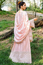 Mohsin Naveed Ranjha Chiffon Pakistani Suit Mohsin Naveed Ranjha/Nau Bahar/Gul Bahaar