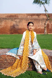 img_mohsin_naveed_ranjha_nau_bahaar_awwal_boutique