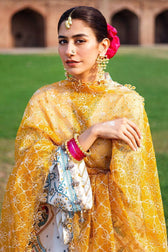 Mohsin Naveed Ranjha Chiffon Pakistani Suit Mohsin Naveed Ranjha/Nau Bahar/SURAJ MUKHI