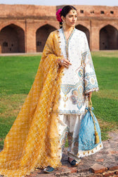 Mohsin Naveed Ranjha Chiffon Pakistani Suit Mohsin Naveed Ranjha/Nau Bahar/SURAJ MUKHI