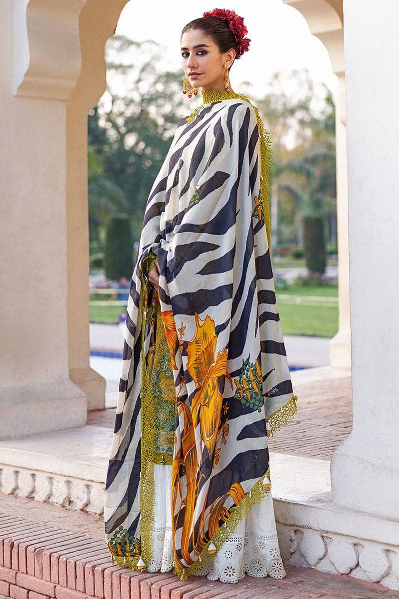 Mohsin Naveed Ranjha Chiffon Pakistani Suit Mohsin Naveed Ranjha/Nau Bahar/Tulsi