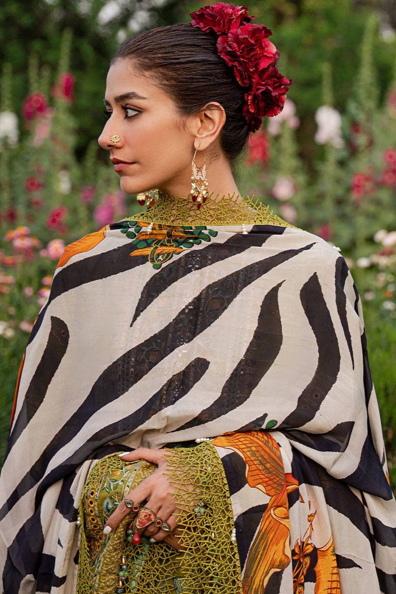 Mohsin Naveed Ranjha Chiffon Pakistani Suit Mohsin Naveed Ranjha/Nau Bahar/Tulsi