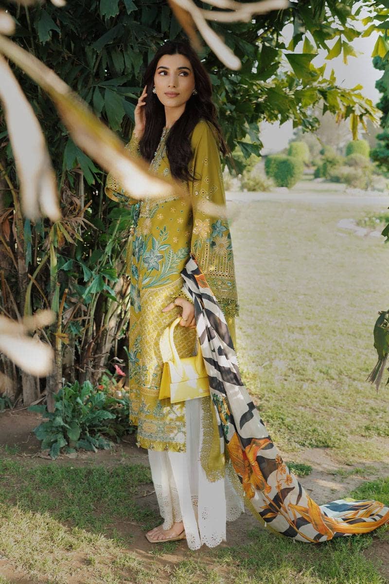 Mohsin Naveed Ranjha Chiffon Pakistani Suit Mohsin Naveed Ranjha/Nau Bahar/Tulsi
