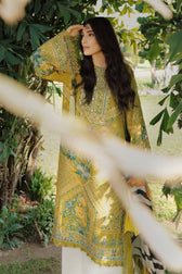Mohsin Naveed Ranjha Chiffon Pakistani Suit Mohsin Naveed Ranjha/Nau Bahar/Tulsi