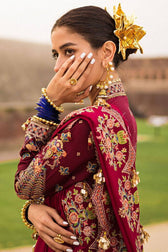 Mohsin Naveed Ranjha Chiffon Pakistani Suit Mohsin Naveed Ranjha/Nau Bahar/Zafran