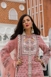 Noor by Saadia Asad Festive Collection D6 PINK