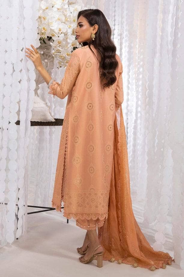 img_sana_safinaz_kurnool_badla_collection_awwal_boutique