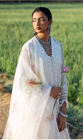 Sana Safinaz Luxury Lawn 23/5A