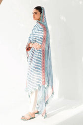 Img_sana_safinaz_muzlin_23_awwal_boutique