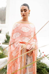 Img_sana_safinaz_muzlin_23_awwal_boutique