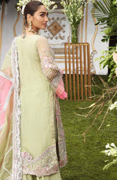 Shamrock Luxury Chiffon Brands Resplendent by Shamrock/Ornate/53