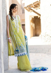 img_sobia_nazir_vital_lawn_22_awwal_boutique