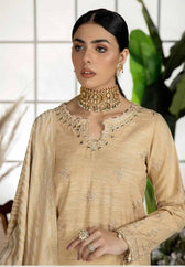 img_tehzeeb_by_riaz_arts_awwal_boutique