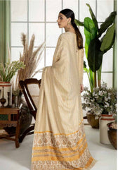 img_tehzeeb_by_riaz_arts_awwal_boutique