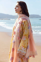img_zaha_lawn_2023_awwal_boutique