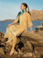 Zainab Chottani Chikankari Lawn/Deedag 2B