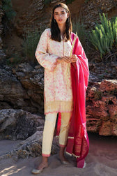 img_coco_lawn_by_zara_shahjahan_2021_awwal_boutique_10B